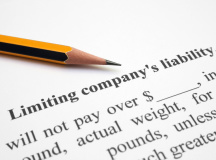 The new simplified limited liability company